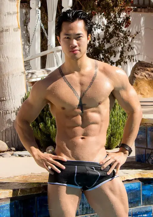 FRANK STALLION