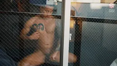 Bird Cage-1