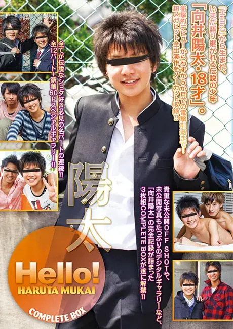 Hello! 向井陽太 COMPLETE BOX-1