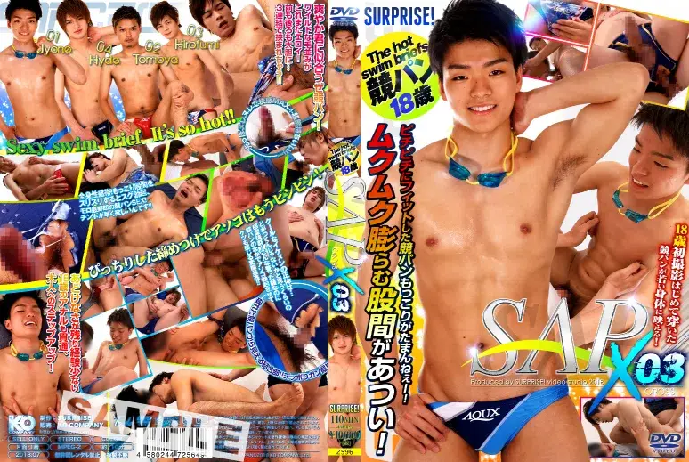 SAP X03-1