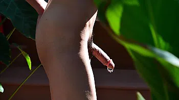 Claw Of the Cock'r Two-9