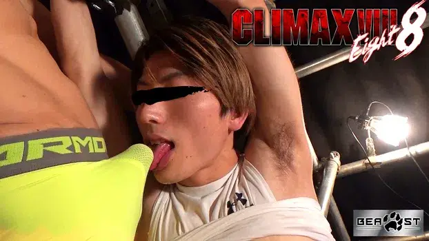 CLIMAX VIII-6