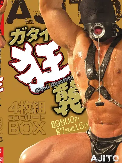 ガタイ狂襲4枚組コンプリートBOX-1
