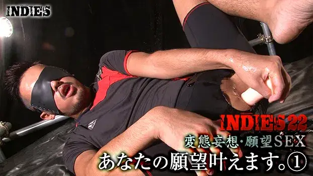 INDIES 22 – 変態妄想・願望SEX あなたの願望叶えます。--2