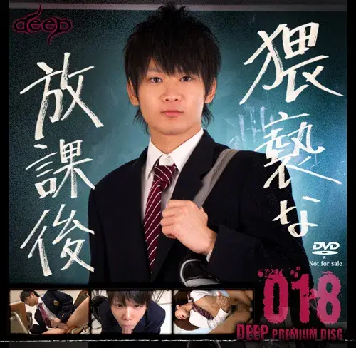 deep premium disc 018 猥褻な放課後-1