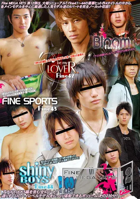 Fine MEGA HITS XII-1