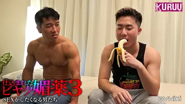 仕込まれた媚薬 SEXがしたくなる男たち 3-12