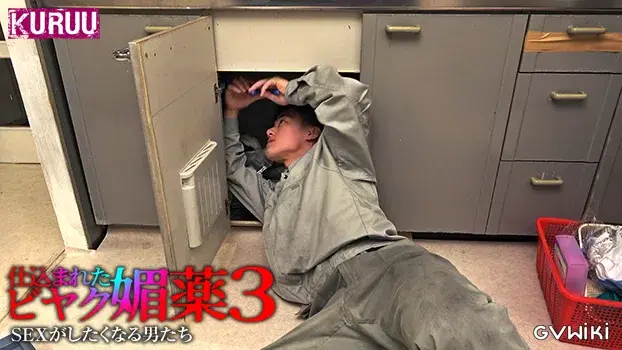 仕込まれた媚薬 SEXがしたくなる男たち 3-6