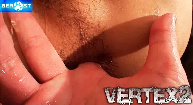 VERTEX 2-4