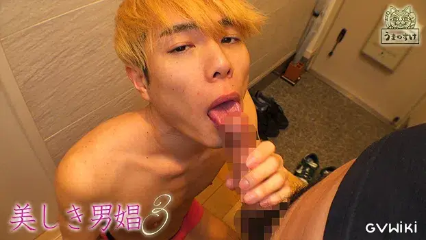 美しき男娼 3-11