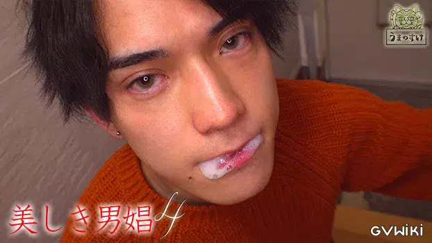 美しき男娼 4-15