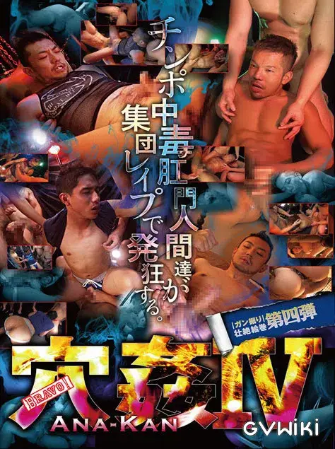 穴姦 4-2