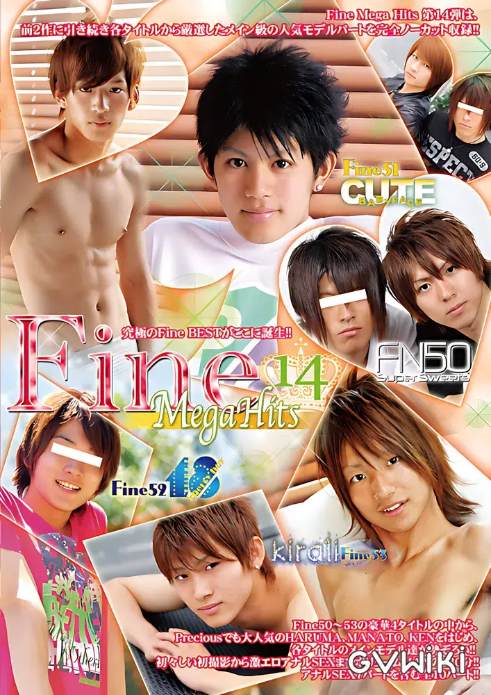 Fine Mega Hits 14-1
