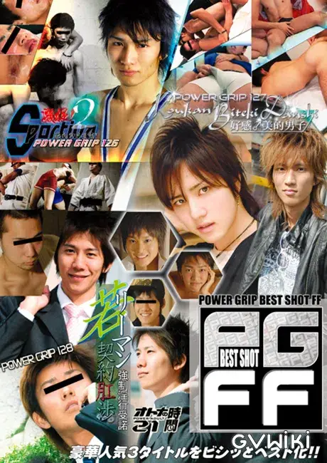 POWER GRIP BEST SHOT FF-1