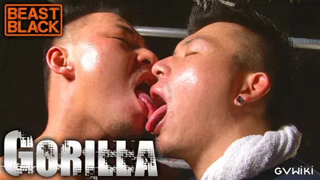 GORILLA-13