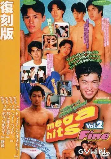 Fine MEGA HITS vol.2-1