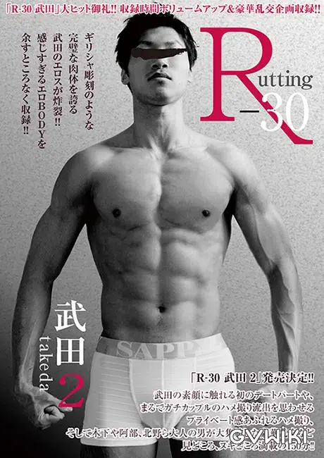 R-30 武田 2-1