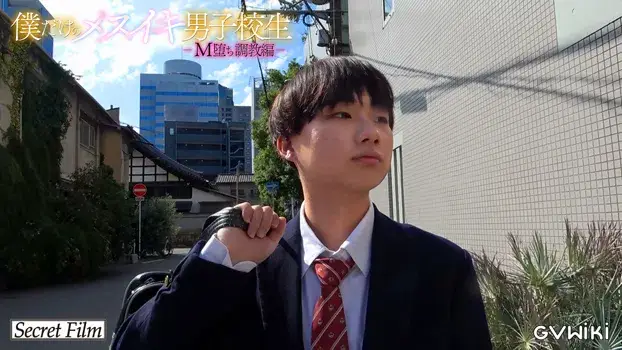 僕だけのメスイキ男子校生-M堕ち調教編--17