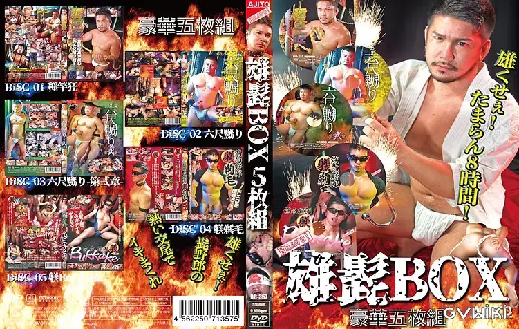 雄髭BOX-1
