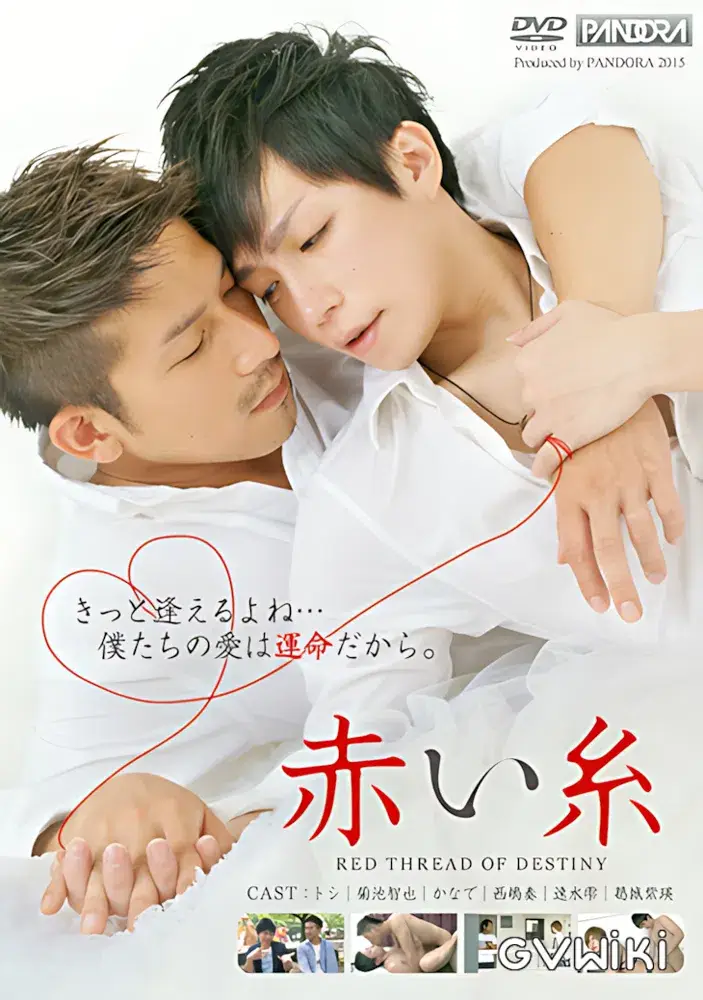 赤い糸-1