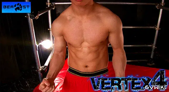 VERTEX 4-20