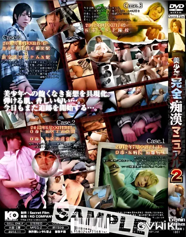 美少年完全痴漢マニュアル2-2