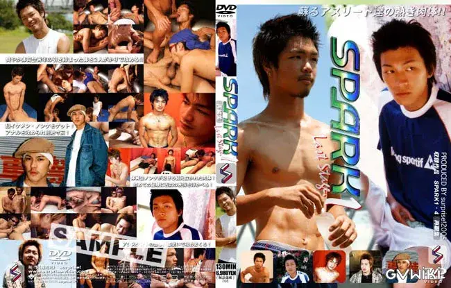 SPARK LAST STAGE 1-1