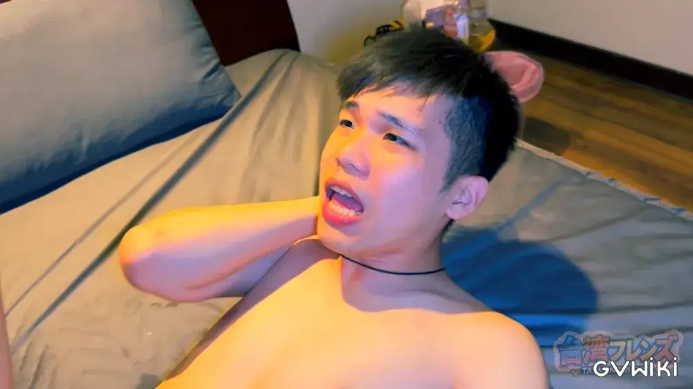 台湾フレンズ人気友達特別編集シリーズ第 4 弾　かわいい犬系ダンガオくん編台湾フレンズで大人気の友達の魅力をもっと知ってもらうための特別編集版です！-10